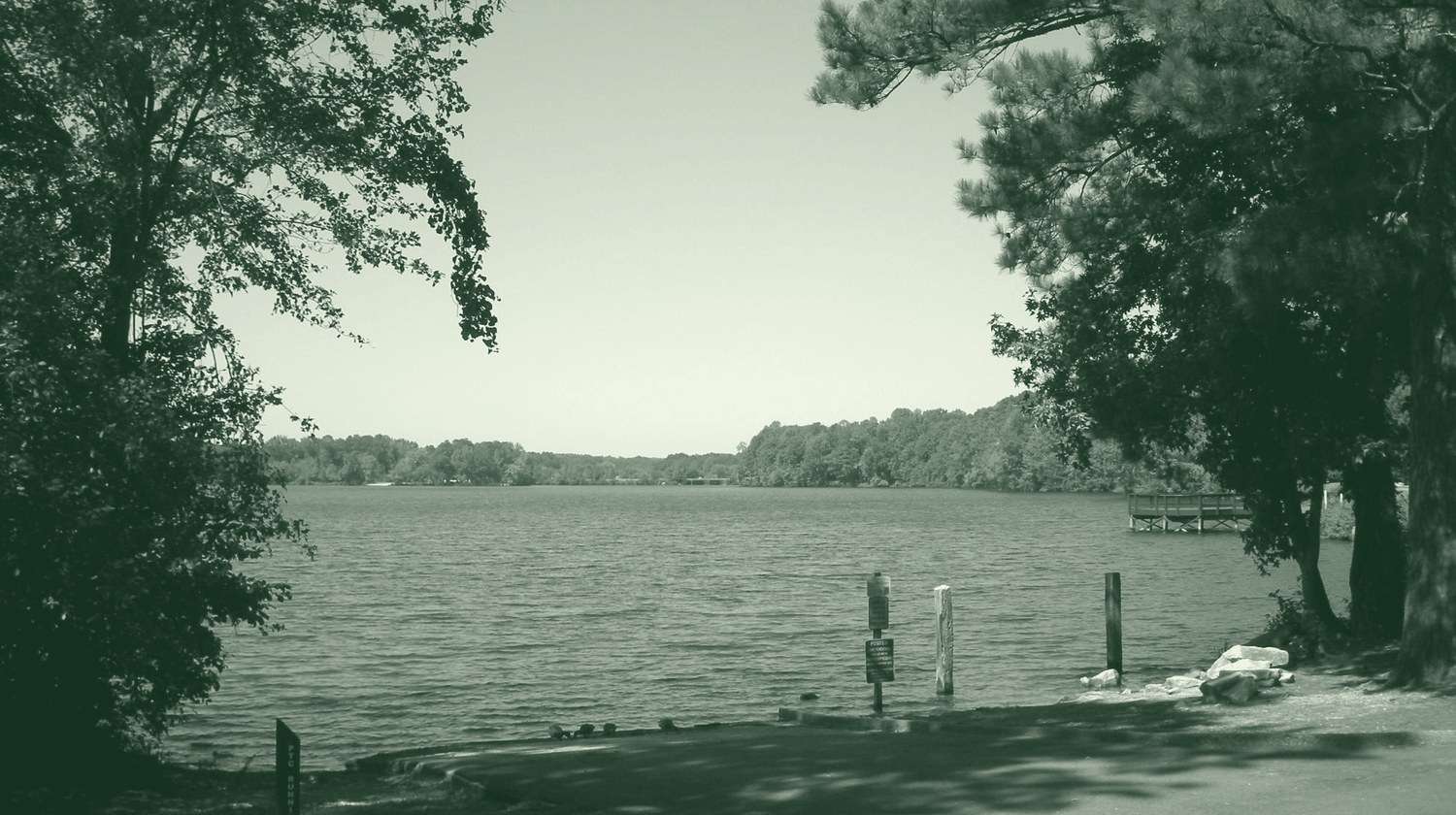 Lake Peachtree in Peachtree City, framed by pines and hardwoods